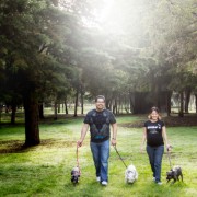 Fotografía de embarazo en locación