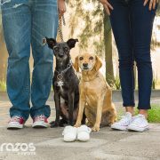 Fotografía de embarazo en locación